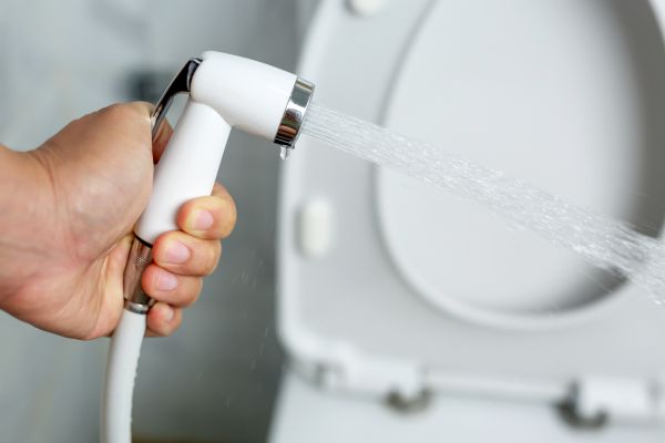 Bidet Installation in Asheville